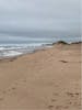 Lors of deserted beaches, just before high season 