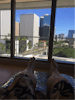 View of Honolulu from the heated loungers in the Thermal Spa