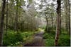 Parc Nature Pointe-aux-Outardes