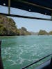 Boat trip to the Bat Caves and Mangroves in Langkawi Malaysia