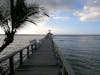 Maya Key Snorkling Dock