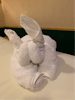 Towel animals were fun. 