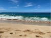 Waimea bay beach