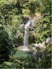 Waterfalls in Grenada 