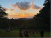 Beautiful sunset view from Nutridge 