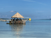 Swim up bar in Ocean