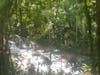 Dunn's River falls. 