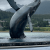 Whale Statue 
