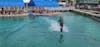 Blue lagoon dolphin encounter