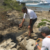 Talking about the poison used to kill surrounding mangroves affecting the environment