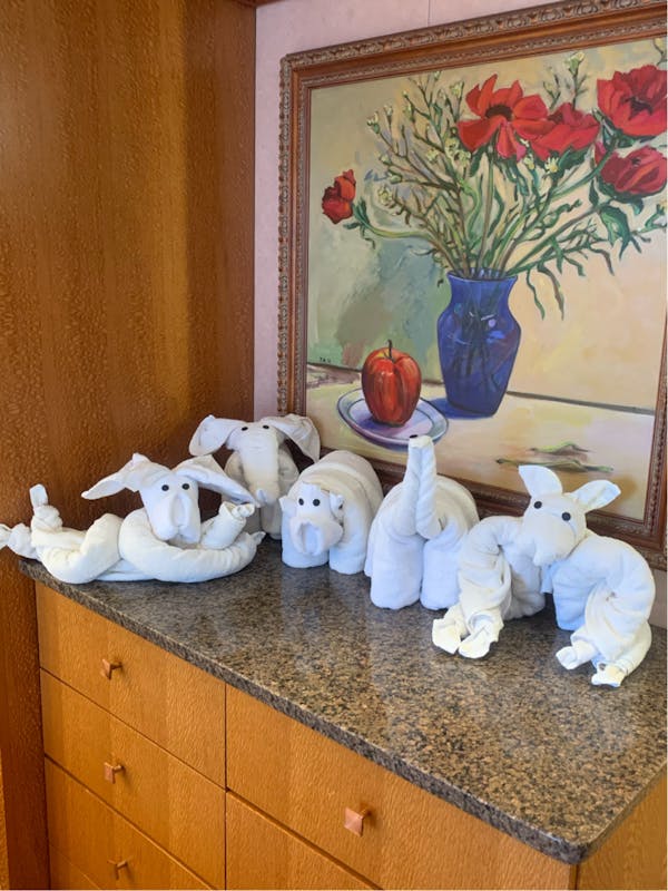 Carnival Pride cabin 6180 - Our Towel Animals from the week