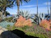 Foliage outside of the Casino