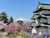 Hirosaki Castle with blooming sakura and Mt. Iwaki