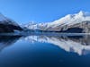 John Hopkins Glacier 