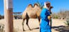 We didn't ride this Camel, she was just there for the photo shoot