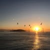 Sunrise,Pelicans taken flight and the Bay bridge