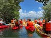 Kayaking in the mangroves of Martinique. 