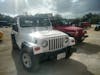 The Jeeps that were used for the island tour! Red one was the one our friends were in