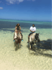 Beach horseback riding 