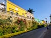 Streets of Mazatlan 