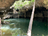 Jade Cenote- the water is actually really clear! 