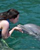 Swimming with dolphins at Dolphin Discovery St Kitts