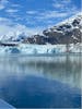 Margerie Glacier 