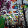 Umbrella Street