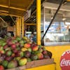 Fresh fruit in the rainforest 