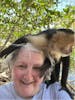 Daniel Johnson Hangout for monkeys/sloths/macaws