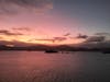 Sailing into Picton at Dawn