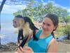 Monkeys in Roatan