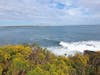 Cliff Walk