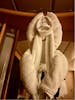 Towel Monkey!