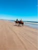 You can ride horses right on the beach at Stone Island 