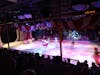 Ice skating on a cruise ship!!