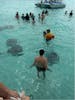 Stingray City