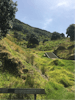 Hillside mount maunganui summit walk hike trail 