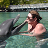 Dolphin encounter 