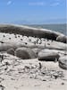 Boulders Beach 