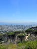 View from table mountain 