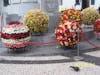 flower globes for Fatima festival, Madeira