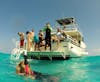 Sting Ray City-Cayman Island