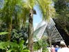 Rain Forest - El Yunque National Park Visitor Center