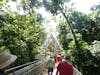 Bridge Over Tree Tops - Visitor Center