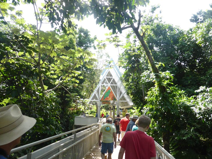 Bridge Over Tree Tops - Visitor Center - Carnival Dream