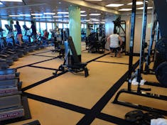 Sapphire Princess Gym