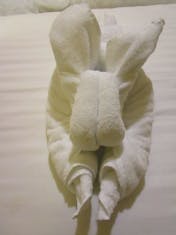 Towel Bunny by Edward