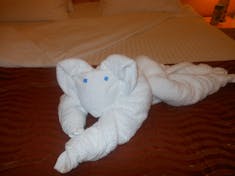 towel animals on the bed every day