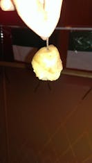 my poison potato looks like an apple .. 